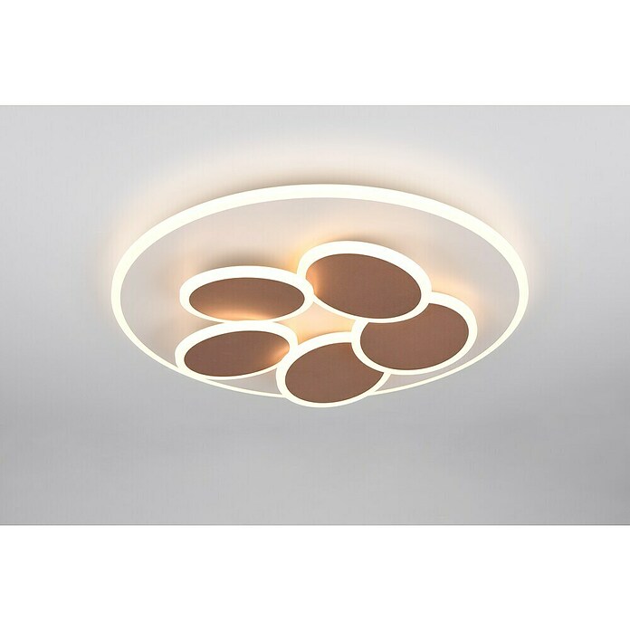 Trio Leuchten LED-Deckenleuchte rund Mandala (35 W, Ø x H: 49 x 7,5 cm, Warm grey, Weiß, Warmweiß) | BAUHAUS