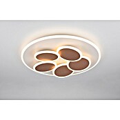 Trio Leuchten LED-Deckenleuchte rund Mandala (35 W, Ø x H: 49 x 7,5 cm, Warm grey, Weiß, Warmweiß) | BAUHAUS