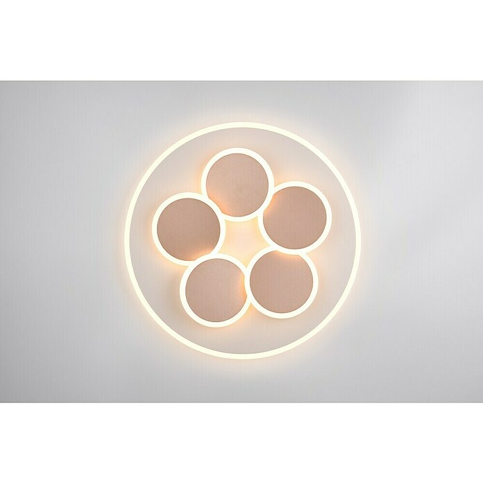 Trio Leuchten LED-Deckenleuchte rund Mandala (35 W, Ø x H: 49 x 7,5 cm, Warm grey, Weiß, Warmweiß) | BAUHAUS