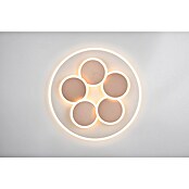 Trio Leuchten LED-Deckenleuchte rund Mandala (35 W, Ø x H: 49 x 7,5 cm, Warm grey, Weiß, Warmweiß) | BAUHAUS