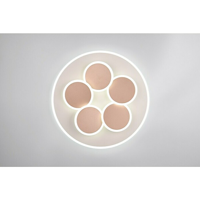 Trio Leuchten LED-Deckenleuchte rund Mandala (35 W, Ø x H: 49 x 7,5 cm, Warm grey, Weiß, Warmweiß) | BAUHAUS