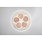 Trio Leuchten LED-Deckenleuchte rund Mandala (35 W, Ø x H: 49 x 7,5 cm, Warm grey, Weiß, Warmweiß) | BAUHAUS