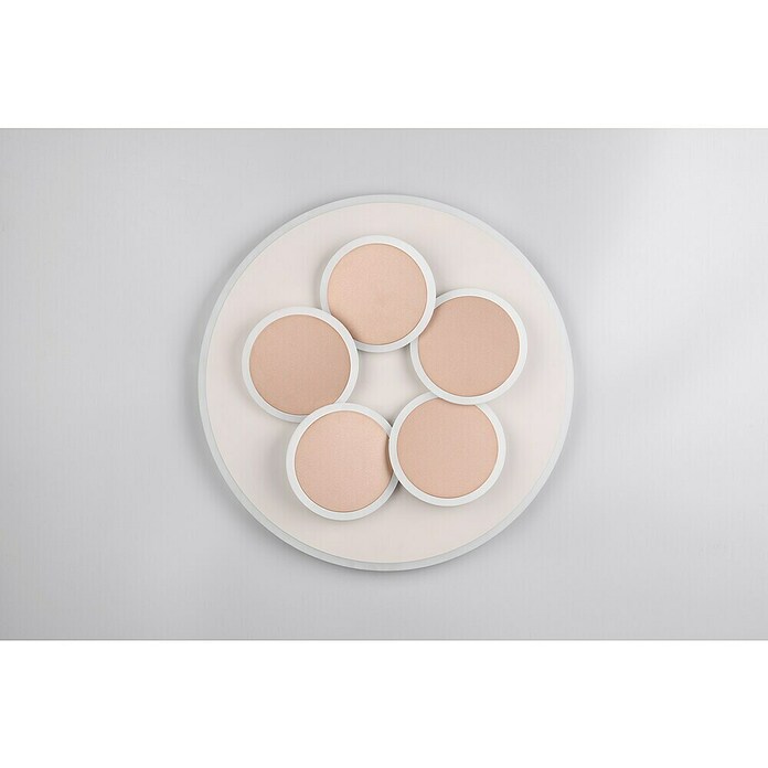 Trio Leuchten LED-Deckenleuchte rund Mandala (35 W, Ø x H: 49 x 7,5 cm, Warm grey, Weiß, Warmweiß) | BAUHAUS
