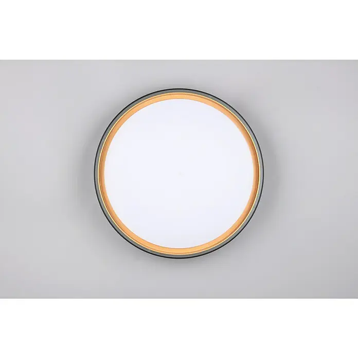 Reality Leuchten LED-Deckenleuchte rund Felis - 24 W, Ø x H: 40 x 7,5 cm, Schwarz/Gold - Runde LED-Deckenleuchte mit einem eleganten Design aus Gold und Schwarz, die eine moderne Beleuchtungslösung für jeden Raum bietet.