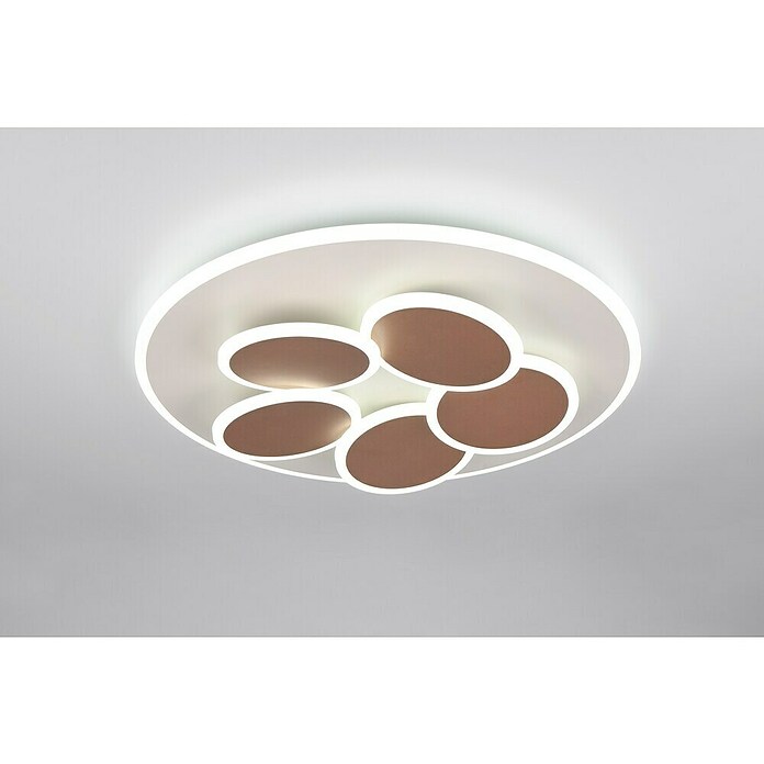 Trio Leuchten LED-Deckenleuchte rund Mandala (35 W, Ø x H: 49 x 7,5 cm, Warm grey, Weiß, Warmweiß) | BAUHAUS