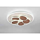 Trio Leuchten LED-Deckenleuchte rund Mandala (35 W, Ø x H: 49 x 7,5 cm, Warm grey, Weiß, Warmweiß) | BAUHAUS