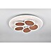 Trio Leuchten LED-Deckenleuchte rund Mandala 