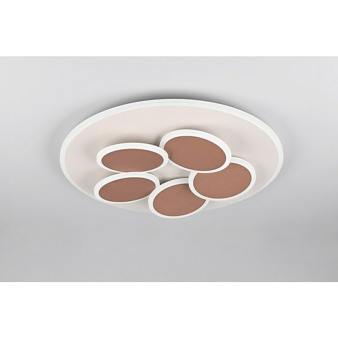 Trio Leuchten LED-Deckenleuchte rund Mandala (35 W, Ø x H: 49 x 7,5 cm, Warm grey, Weiß, Warmweiß) | BAUHAUS