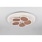 Trio Leuchten LED-Deckenleuchte rund Mandala (35 W, Ø x H: 49 x 7,5 cm, Warm grey, Weiß, Warmweiß) | BAUHAUS