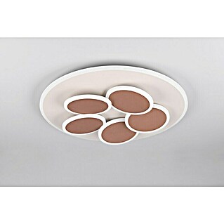 Trio Leuchten LED-Deckenleuchte rund Mandala (35 W, Ø x H: 49 x 7,5 cm, Warm grey, Weiß, Warmweiß)