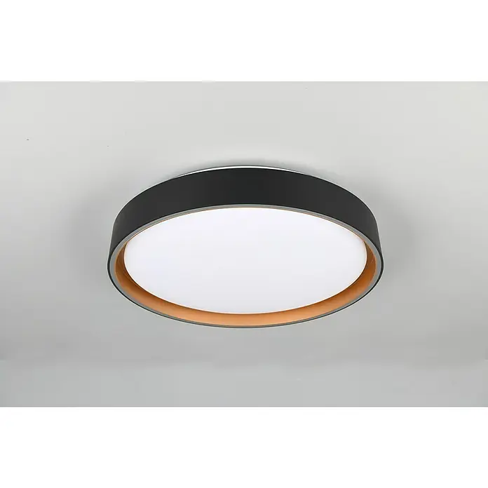 Reality Leuchten LED-Deckenleuchte rund Felis - 24 W, Ø x H: 40 x 7,5 cm, Schwarz/Gold - Nahaufnahme einer runden Deckenleuchte mit schwarzem Rand und warmer Holzakzentuierung für stilvolle Beleuchtung.