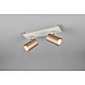 Trio Lighting Marley Regleta 2 luces (35 W, L x An x Al: 9 x 30 x 15 cm, Gris, Marrón, GU10) | BAUHAUS