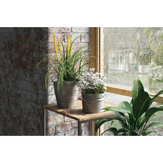 Übertopf rund - Ø x H: 16 x 13 cm, Grau, Metall, Matt - Dekorative Pflanzen in Metalleimern auf einem kleinen Tisch vor einem Fenster. Das Arrangement umfasst gelbe Blüten und üppiges Grün.