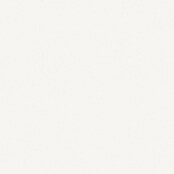 DryTile Wandfliese Snow (Weiss, Matt, L x B x S: 25 cm x 20 cm x 6 mm) | BAUHAUS