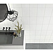 DryTile Wandfliese Snow (Weiss, Glänzend, L x B x S: 25 cm x 20 cm x 6 mm) | BAUHAUS