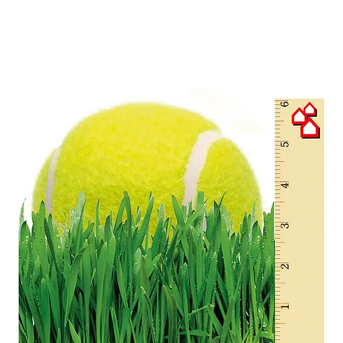 Césped artificial ECO - 5 x 2 m, Altura del pelo: 40 mm, 18.900 puntadas/m² - Pelota de tenis en hierba alta junto a una vara de medir con un logotipo de casa roja, ideal para deportes y diversión al aire libre.