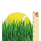 Césped artificial Creta (5 x 1 m, Verde, Altura del pelo: 45 mm) | BAUHAUS