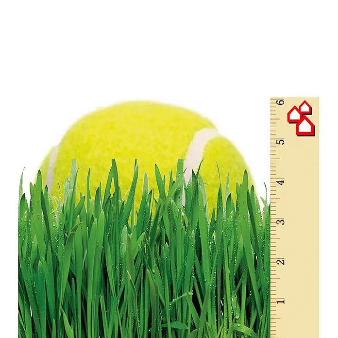 Césped artificial Bermudas - 5 x 2 m, Altura del pelo: 47 mm, 14.175 puntadas/m² - Una pelota de tenis amarilla se asienta en la hierba alta y verde junto a una regla.