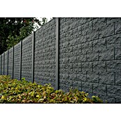 Beckers Betonzaun Zaunelement Standard Casa Borsika (200 x 38,5 cm, Beton, Betongrau) | BAUHAUS