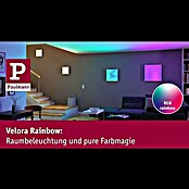 Paulmann LED-Panel Velora Rainbow (16 W, L x B x H: 29,5 x 29,5 x 6,4 cm, Weiß, RGBW) | BAUHAUS