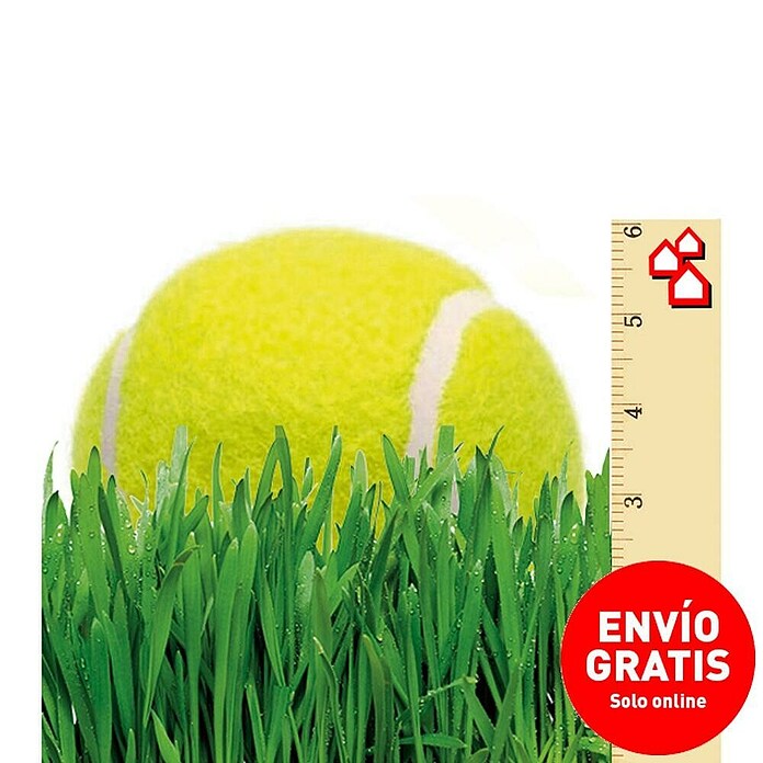 Césped artificial Sicilia (5 x 2 m, Verde, Altura del pelo: 38 mm, Densidad: 21.000 puntadas/m²) | BAUHAUS