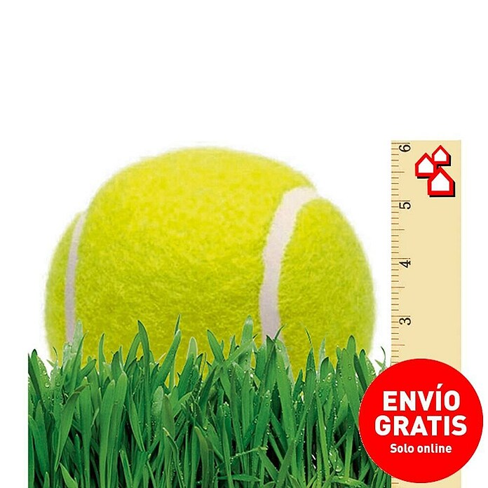 Césped artificial Madeira (5 x 2 m, Verde, Altura del pelo: 28 mm) | BAUHAUS