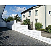 Beckers Betonzaun Zaunelement Standard Elegant Motiv (200 x 38,5 cm, Beton, Betongrau) | BAUHAUS