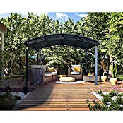 Palram – Canopia Cenador Tucson (An x Pr: 360 x 435 cm, Color del armazón: Antracita, Aluminio) | BAUHAUS