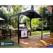 Palram – Canopia Cenador Austin (An x Pr: 240 x 180 cm, Color del armazón: Antracita, Aluminio) | BAUHAUS