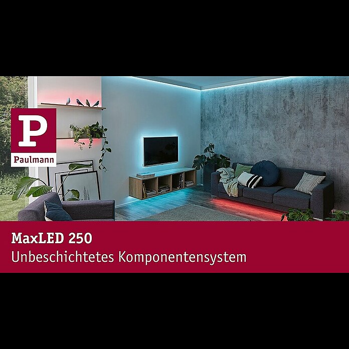 Paulmann MaxLED 250 LED-Band 250 (Länge: 2,5 m, Lichtfarbe: Warmweiß, 10 W, 750 lm) | BAUHAUS