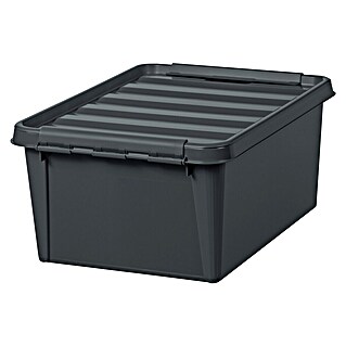 SmartStore Aufbewahrungsbox (L x B x H: 40 x 30 x 18 cm, Kunststoff, Taupe)