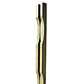 Kozijnhout Vuren achterhout geventileerd (3.000 x 45 x 21 mm) | BAUHAUS