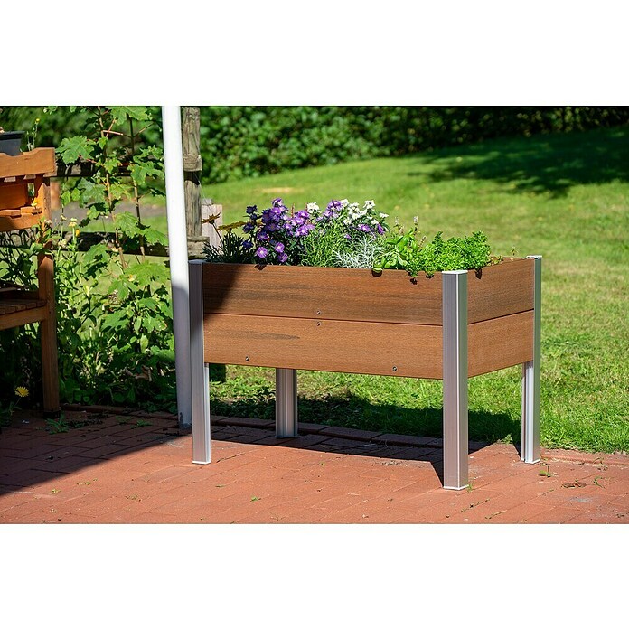 Dobar Hochbeet (50 x 91 x 60 cm, Verbundwerkstoff, Teak) | BAUHAUS