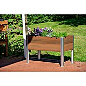 Dobar Hochbeet (50 x 91 x 60 cm, Verbundwerkstoff, Teak) | BAUHAUS