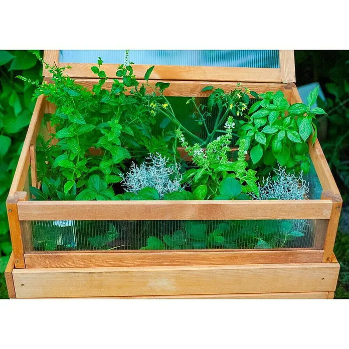 Dobar Frühbeet-Aufsatz Kubus 2.0 - L x B x H: 76 x 56 x 28 cm, Hellbraun - Nahaufnahme eines hölzernen Frühbeets voller Kräuter und Pflanzen, perfekt für den Anbau im Garten oder auf dem Balkon.