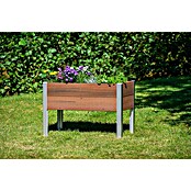 Dobar Hochbeet Teak (60 x 91 x 60 cm, Verbundwerkstoff, Teak) | BAUHAUS