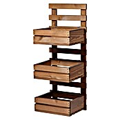 Dobar Holzregal (L x B x H: 29,5 x 26,5 x 74,5 cm, Braun) | BAUHAUS