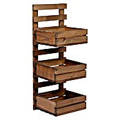 Dobar Holzregal (L x B x H: 29,5 x 26,5 x 74,5 cm, Braun) | BAUHAUS