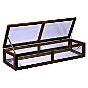 Dobar Frühbeet-Aufsatz Teak (L x B x H: 117 x 40 x 24,5 cm, Dunkelbraun) | BAUHAUS