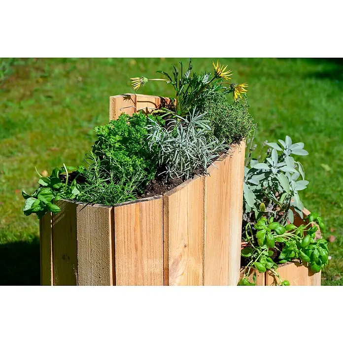 Dobar Kräuterspirale - L x B x H: 250 x 1,6 x 68 cm - Ein mehrstöckiger Kräutergarten aus Holz mit Basilikum, Petersilie, Rosmarin, Salbei und gelben Blüten auf Rasen.