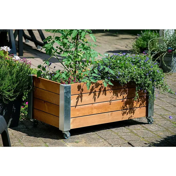 Dobar Hochbeet Rollfi - 78 x 52 x 40,5 cm, Holz, Braun - Das Bild zeigt einen bepflanzten, rechteckigen Hochbeet-Pflanzkasten aus Holz mit Metallecken und Rollen auf einem gepflasterten Untergrund.