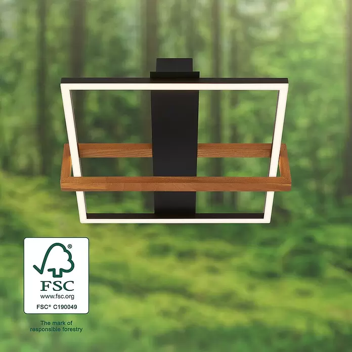 Brilo LED-Deckenleuchte Nested - 12 W, L x B x H: 35 x 33 x 11 cm, Schwarz, Warmweiß - Moderne schwarze Leuchte mit weißen LED-Streifen und Querstreben aus Naturholz.