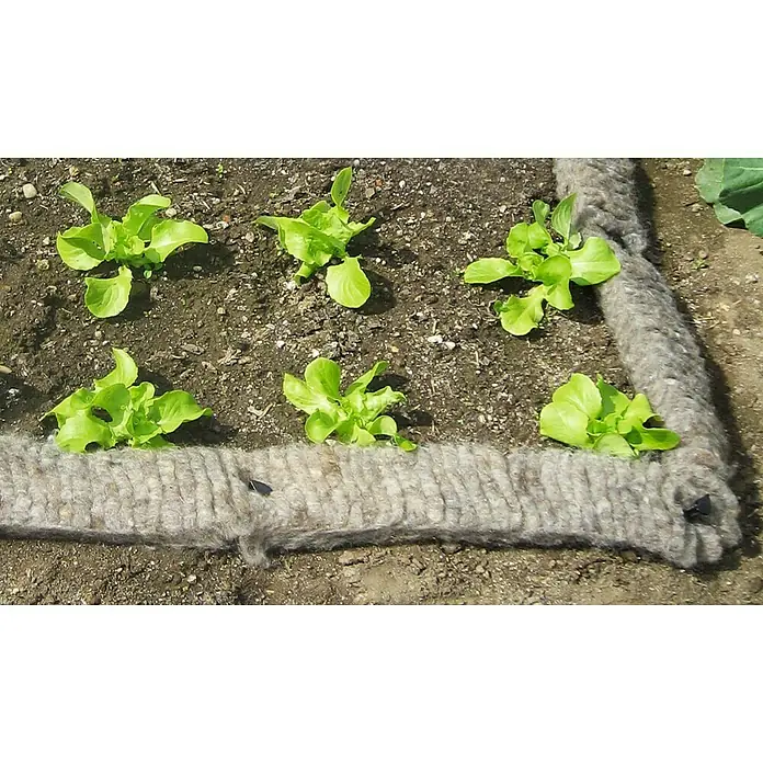 Windhager Schnecken-Stopp Schafwoll-Schneckenbremse - L x B: 500 x 10 cm - Nahaufnahme von sechs Salatköpfen, die in einem Gartenbeet mit einem Rand aus Mulchmatte gepflanzt wurden.