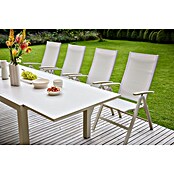 Sunfun Maja Garten-Positionssessel (Aluminium/Textil, Rückenlehne verstellbar, Light-Greige, B x T x H: 61 x 68 x 110 cm) | BAUHAUS