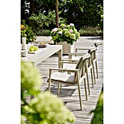 Sunfun Maja Gartentisch Stone (L x B x H: 300 x 100 x 74 cm, Tischplatte aus Stein, Ausziehbar, Light-Greige) | BAUHAUS
