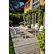 Kingstone Žar na oglje Kamado  (Premer površine za peko: 29,5 cm) | 8304 - Holzkohlegrill QM | ICGA - Grillgeräte | ICG - Grillgeräte / Grillzubehör | IC - Freizeit im Garten | I - Stadtgarten | BAUHAUS