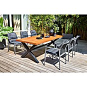 Gartentisch (L x B: 220 x 100 cm, Material Tischplatte: Holz)