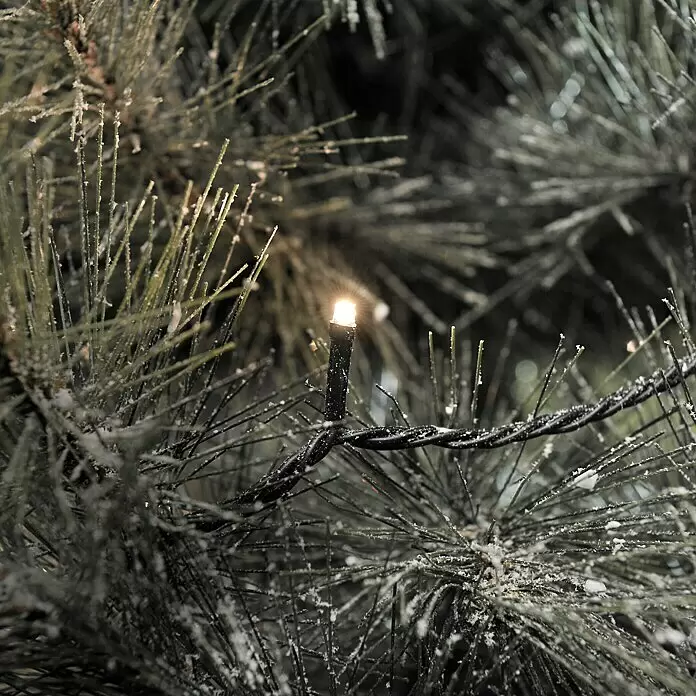 Konstsmide LED-Lichterkette Micro LED - Außen, Lichtfarbe: Warmweiß, Anzahl Leuchtmittel: 400 Stk., Netzbetrieben - Beleuchtetes weißes LED-Weihnachtslicht an einem gefrosteten künstlichen Tannenzweig mit schwarzem Kabel.