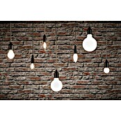 Paulmann LED žarulja Filament  (13 W, 1.521 lm, E27, 2.700 K) | BAUHAUS