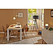 Paulmann LED žarulja Filament  (13 W, 1.521 lm, E27, 2.700 K) | BAUHAUS